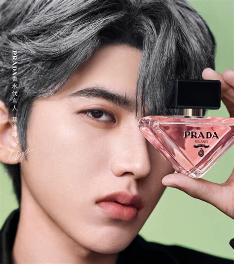 cai xukun and prada sales increase|Prada rong zhai china.